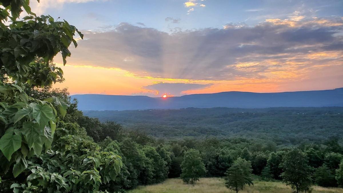 Strasburg Cabin | Great views, hike onsite, work remotely, huge smart TVs & hot-tub
