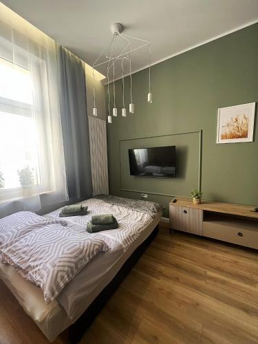 Wilda Apartment | GREEN Apartment 2