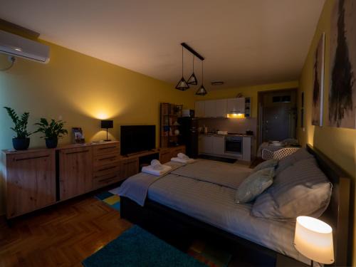 Subotica Apartment | Green Apple Apartment