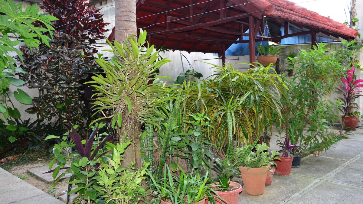 Cienfuegos House | Green Day