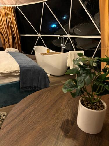 Riu de Mori Other | Green Garden Glamping Retezat