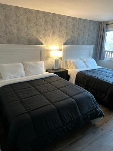 Marshfield Hotel | Green Harbor Hotel