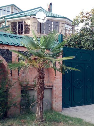 Kachreti House | Green House
