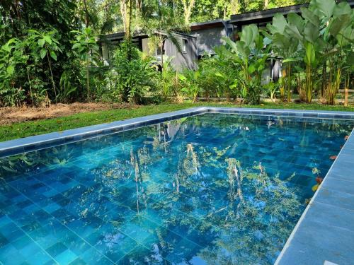Manzanillo Villa | Green Lapa's
