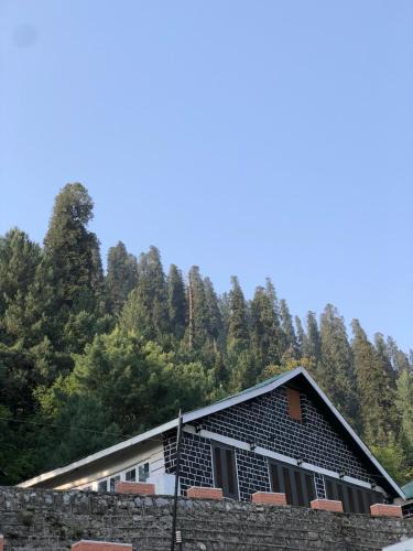 Dunga Gali Hotel | Green Manal Hotel