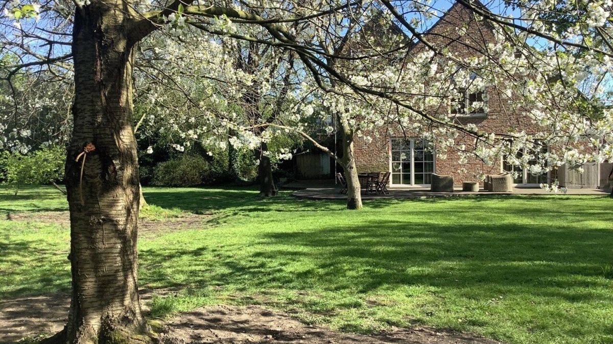 Meersel Villa | Green oasis in the city, between Antwerp/Brussels, 10 min from Azelhof Horse Ev.