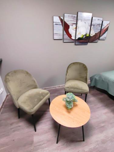 Rezekne Apartment | Green Orchid appartment