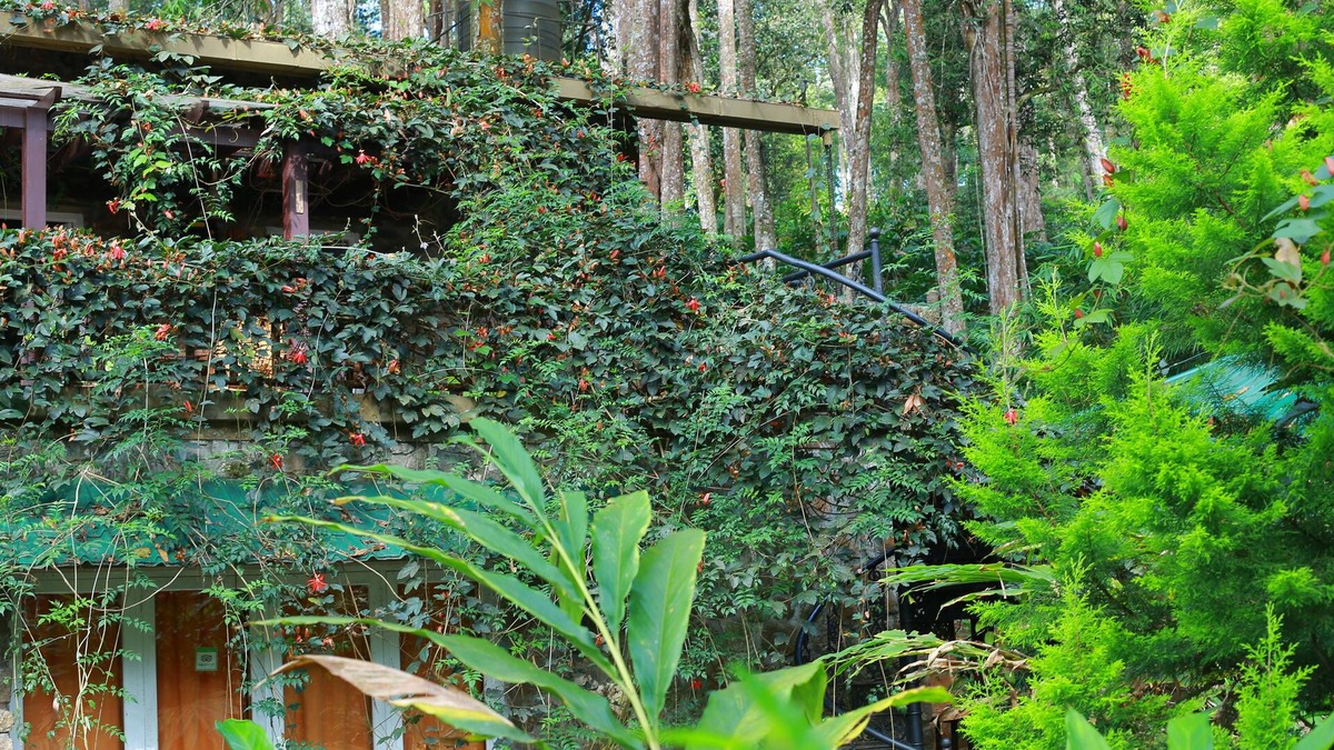Moolakadai Bed & Breakfast | Green Spaces Munnar