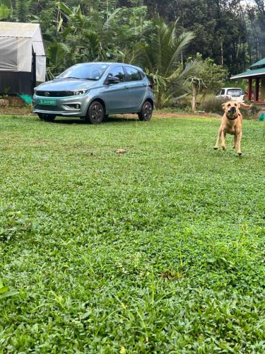 Kanjirappally House | “Green Thumb Farm Stay”