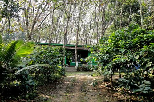Krishnagiri House | Green Wayanad Homestay