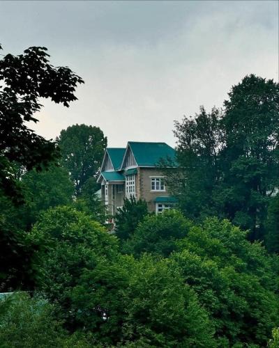 Nathia Gali Apartment | Green wood cottage