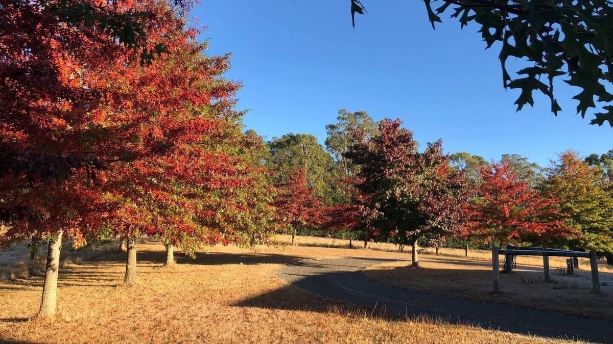 Bullengarook Other | Greenacres - Relaxing Escape in the Macedon Ranges