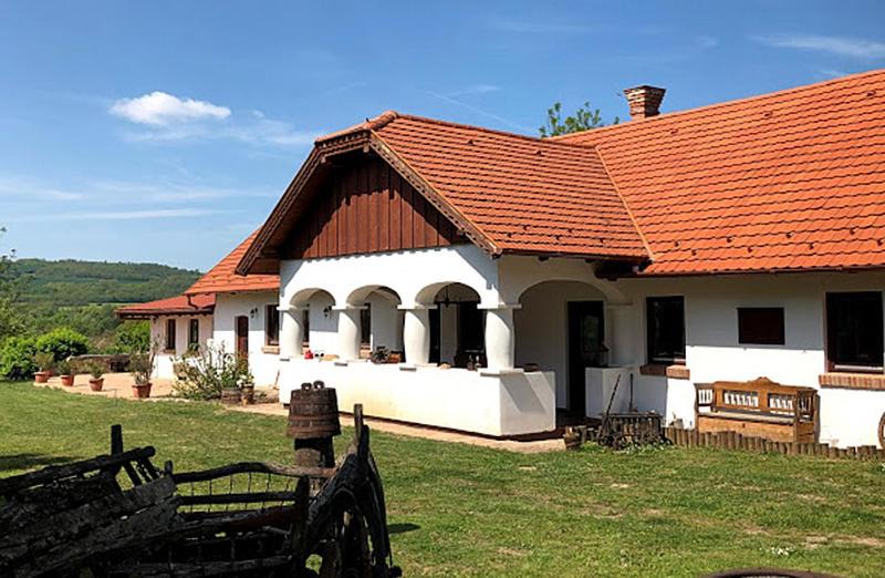 Szolad Villa | Greenhouse