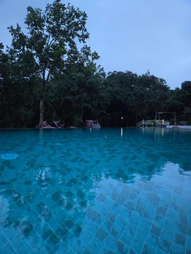 Sen Monorom Resort | Greenhouse Retreat