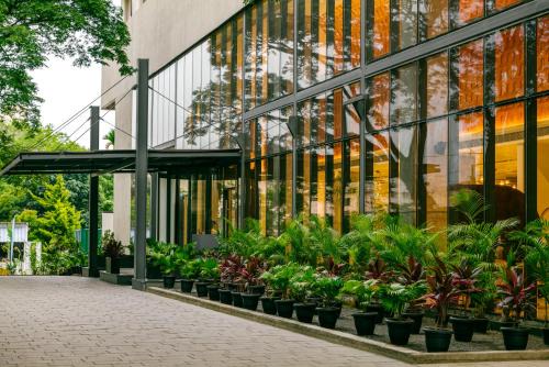 Panduranga Nagar Hotel | Greenpark Bengaluru