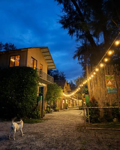 San Felipe House | Greenspace Artist Village