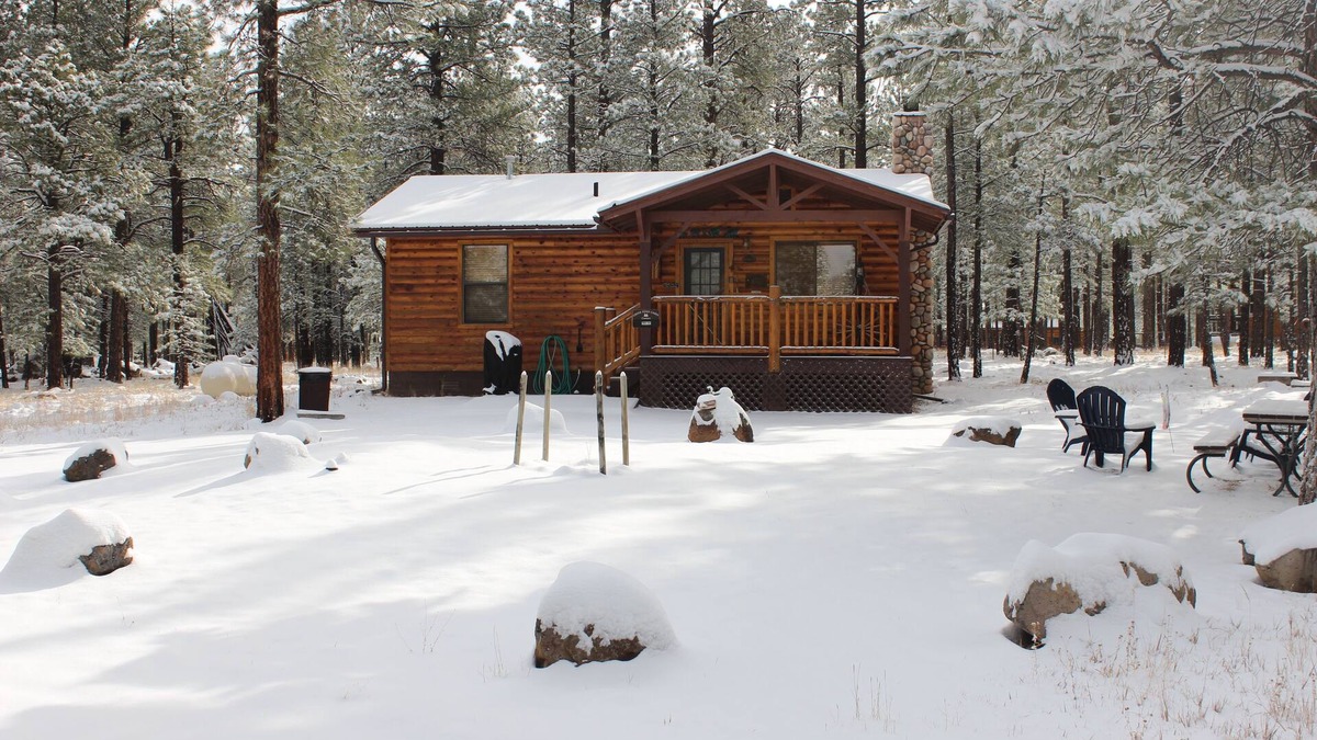 Greer Cabin | Greer Pines Cabin Secluded Cabin on an Acre
