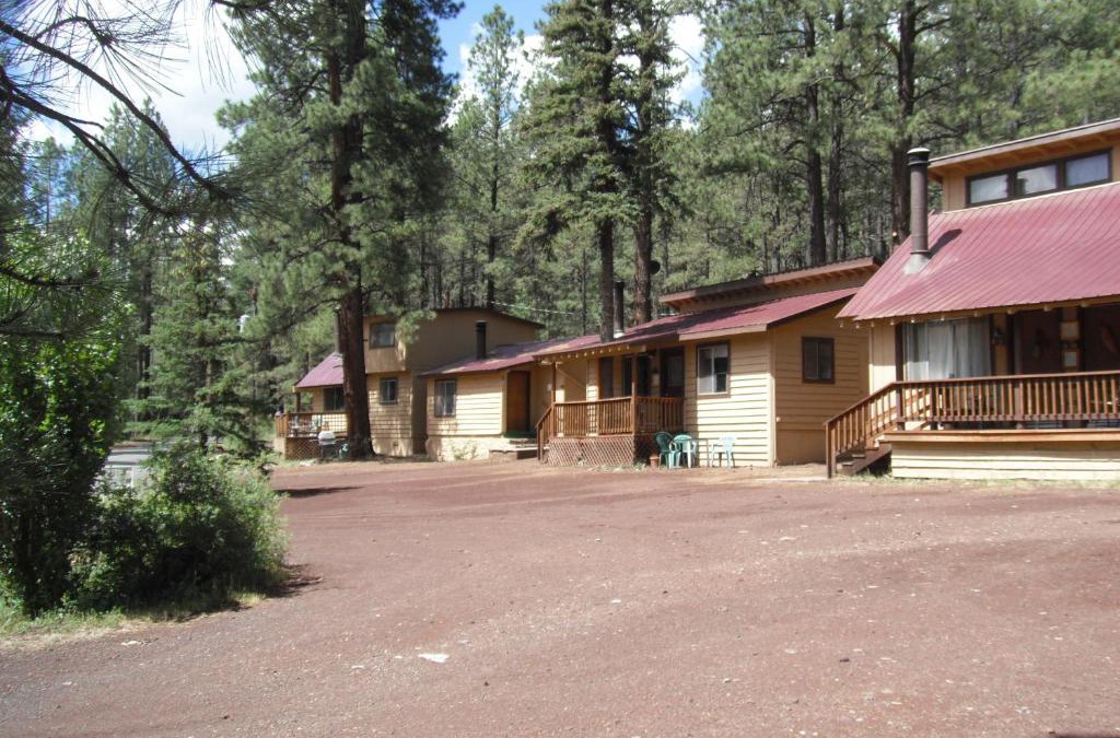 Greer House | Greer Point Trails End Cabins