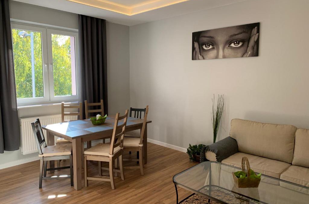 Tarnowskie Gory Apartment | Grey apartment 50 m2
