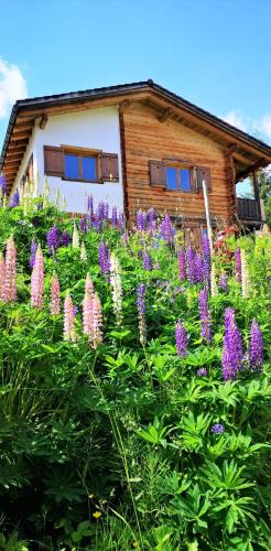 Affeier House | grosses Ferienhaus mit Sauna im Skigeb. Obersaxen