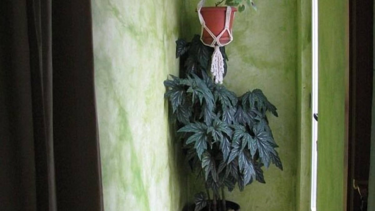 Angues Apartment | Guarantee apartment