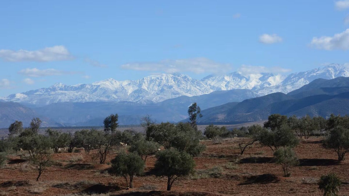 Amizmiz Bed & Breakfast | Guest farm with panoramic view of the High Atlas - near Marrakech