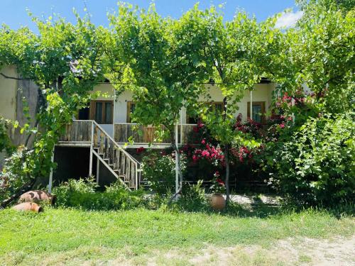 T'ba House | Guest House Aleksandre