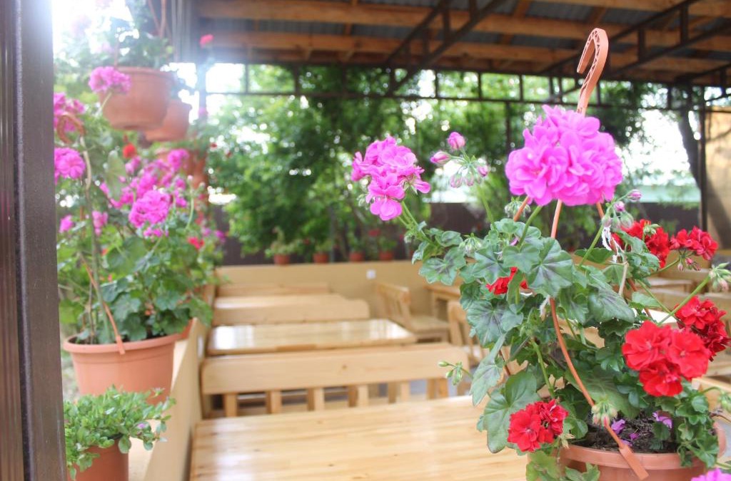 Alakhadzi House | Guest house Black Sea