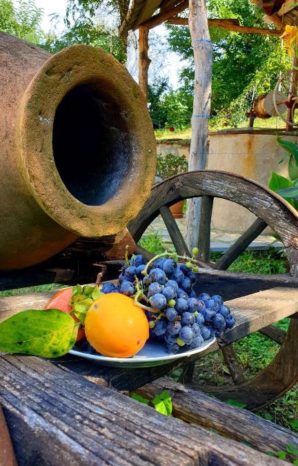 Imereti House | Guest House Godogani