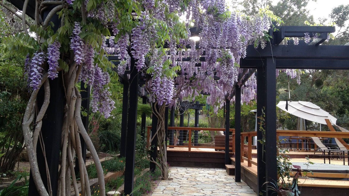 Carmel Valley Cottage | Guest House in Sunny Carmel Valley.