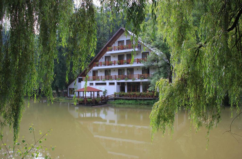 Moneasa House | Guest house Lacul Linistit