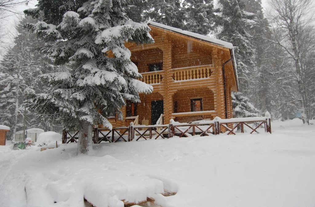 Arkhyz House | Guest House Lesogorie