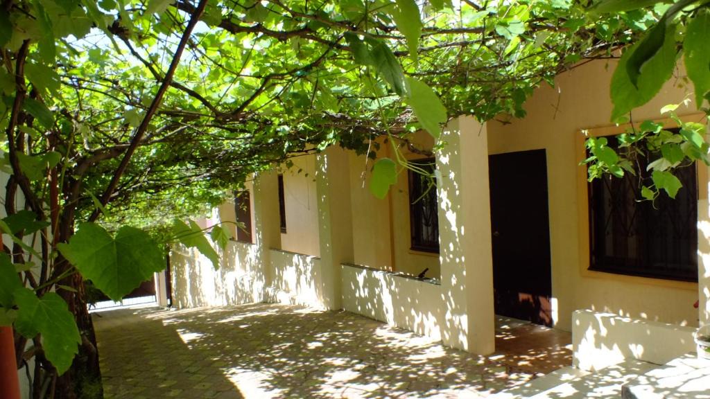 Olginka House | Guest House on Solnechnaya 13