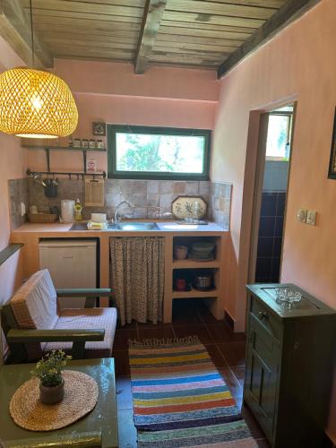 Svajcarnica House | Guest house Pikec