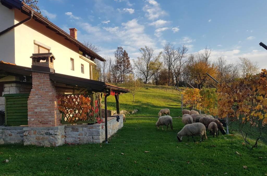 Generalski Stol House | Guest House Pinus