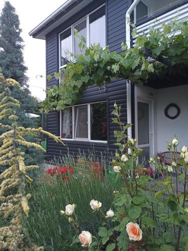 Chornomorsk House | Guest House Serena
