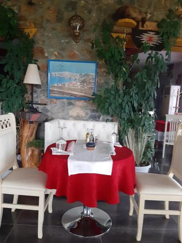 Udenisht House | Guest house Stone Dream Ohrid lake view