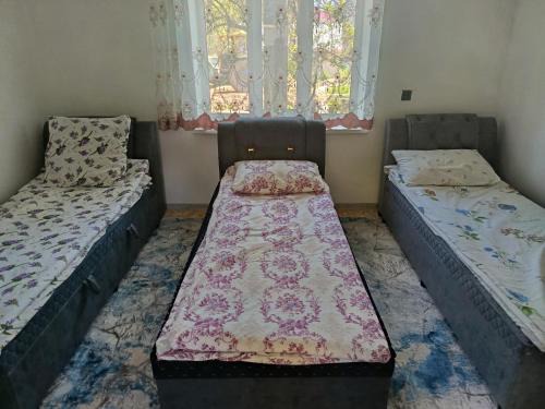 Arkit House | Guest House Turna
