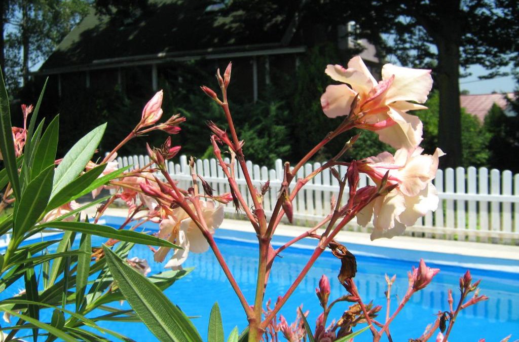 Kupinecki Kraljevec House | Guest House Westwood