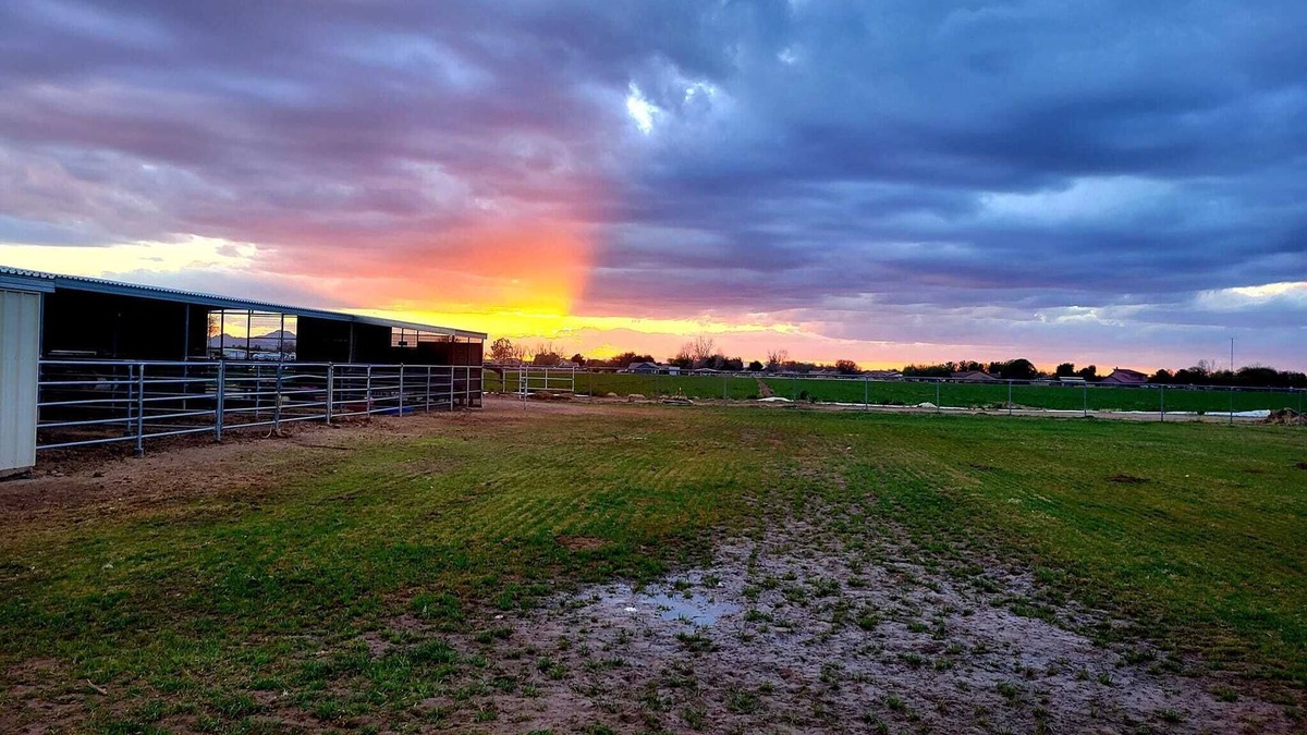 San Tan Valley Other | Guest House with horse privilege's, in the country & beautiful neighborhood.