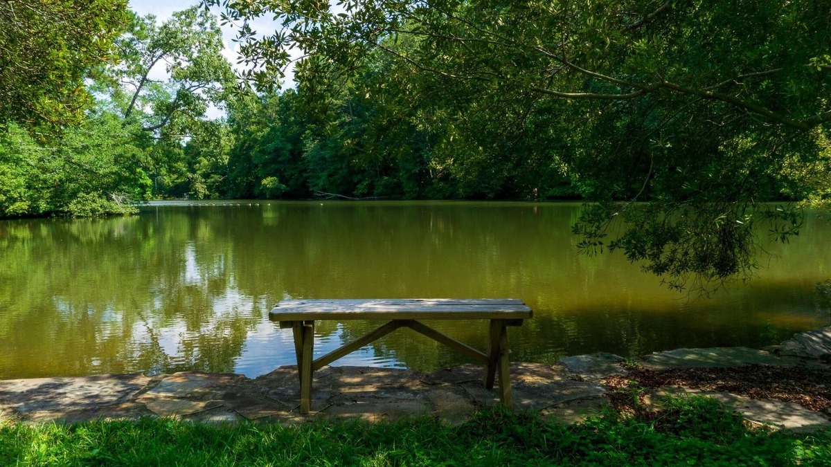 Tuscaloosa House | GUEST QTRS-SLEEPS 2-4 - 7 miles to U of A. RELAXING, ROOMY INSIDE & OUT, PRIVATE