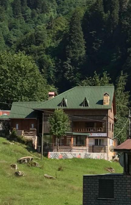Ayder Yaylasi Apartment | Guesthouse Dolunay
