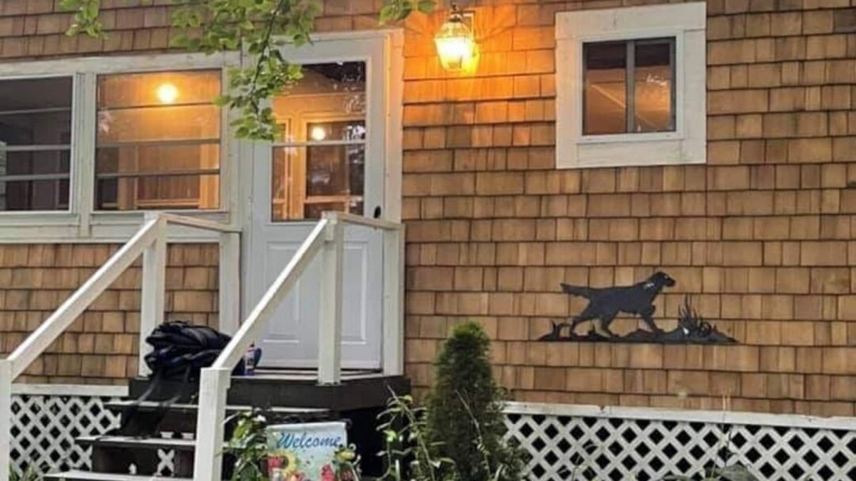 Douglas Cottage | Guesthouse on a Lake