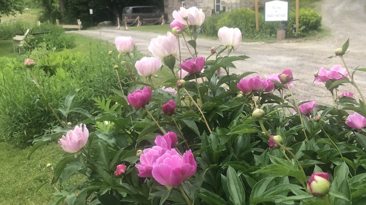 Canaan House | Guesthouse & Permaculture Sanctuary in the Berkshires