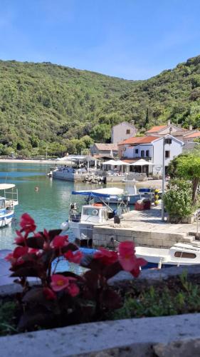 Valun Apartment | Guesthouse Pijerino