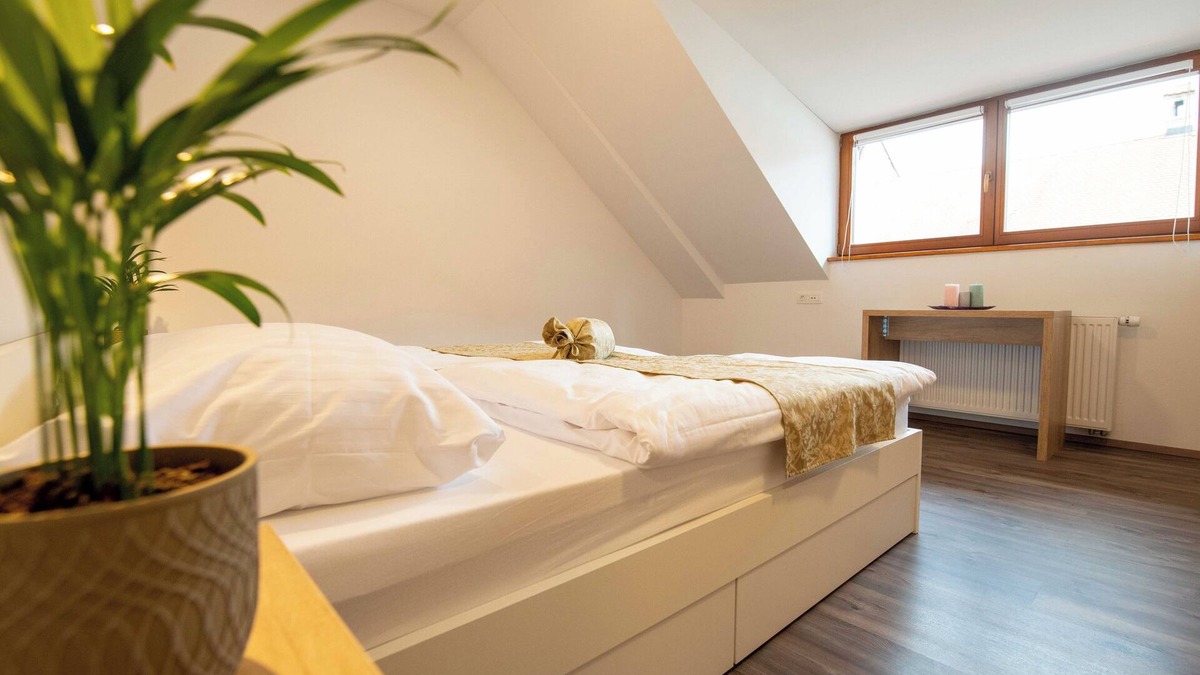 Kranj House | Guesthouse Stari Mayr