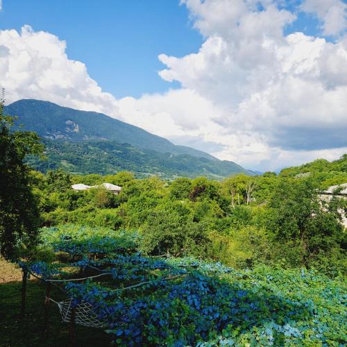 Ambrolauri House | Guesthouse Turo