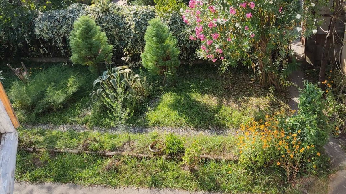 Zugdidi House | Guesthouse With a Cozy Garden