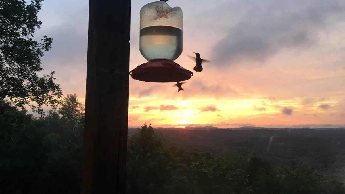 Van Buren House | Guests enjoy their own one bedroom apartment in the Ozarks