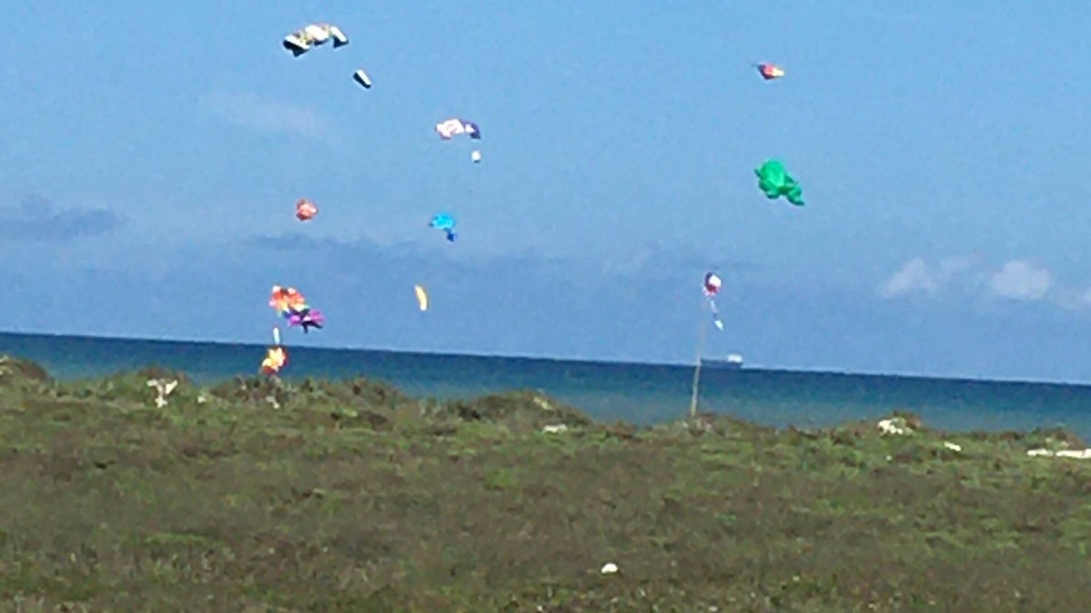 Port Aransas Condo | Gulf view! Private beach access. A quick walk to the beach!